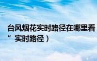 台风烟花实时路径在哪里看（如何在支付宝查看台风“烟花”实时路径）