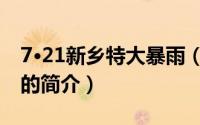 7·21新乡特大暴雨（关于7·21新乡特大暴雨的简介）
