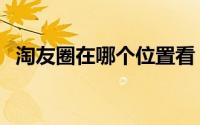 淘友圈在哪个位置看（淘友圈在哪里打开）