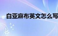 白亚麻布英文怎么写白亚麻布英语怎么说