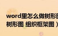 word里怎么做树形图（Word怎么画漂亮的树形图 组织框架图）