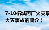 7·10柘城药厂火灾事故（关于7·10柘城药厂火灾事故的简介）