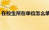 在校生所在单位怎么填（是否在校生怎么填）