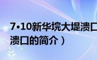 7·10新华垸大堤溃口（关于7·10新华垸大堤溃口的简介）