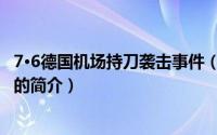 7·6德国机场持刀袭击事件（关于7·6德国机场持刀袭击事件的简介）