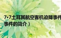 7·7土耳其航空客机迫降事件（关于7·7土耳其航空客机迫降事件的简介）