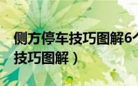 侧方停车技巧图解6个步骤要掌握（侧方停车技巧图解）