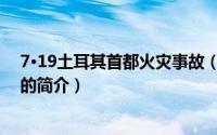 7·19土耳其首都火灾事故（关于7·19土耳其首都火灾事故的简介）