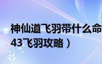 神仙道飞羽带什么命格（《神仙道》六重天143飞羽攻略）
