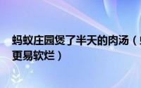 蚂蚁庄园煲了半天的肉汤（蚂蚁庄园3月26日答案想让炖肉更易软烂）