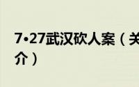 7·27武汉砍人案（关于7·27武汉砍人案的简介）