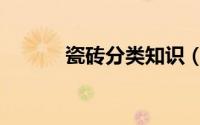 瓷砖分类知识（瓷砖分类知识）