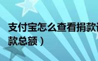 支付宝怎么查看捐款记录（支付宝怎么查看捐款总额）