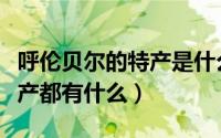 呼伦贝尔的特产是什么（内蒙古呼伦贝尔的特产都有什么）