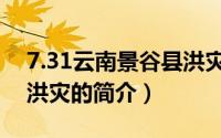 7.31云南景谷县洪灾（关于7.31云南景谷县洪灾的简介）