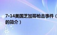 7·14美国芝加哥枪击事件（关于7·14美国芝加哥枪击事件的简介）
