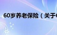 60岁养老保险（关于60岁养老保险的简介）