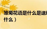 雏菊花语是什么是送给死人的吗（雏菊花语是什么）