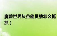 魔兽世界灰谷幽灵狼怎么抓（魔兽世界幽灵狼卡洛玛在哪里抓）