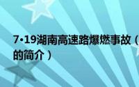 7·19湖南高速路爆燃事故（关于7·19湖南高速路爆燃事故的简介）
