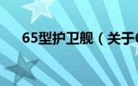 65型护卫舰（关于65型护卫舰的简介）