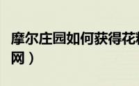 摩尔庄园如何获得花粉（摩尔庄园如何获取渔网）