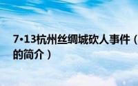 7·13杭州丝绸城砍人事件（关于7·13杭州丝绸城砍人事件的简介）