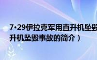 7·29伊拉克军用直升机坠毁事故（关于7·29伊拉克军用直升机坠毁事故的简介）