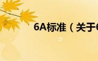 6A标准（关于6A标准的简介）