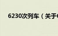 6230次列车（关于6230次列车的简介）