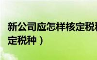 新公司应怎样核定税种类别（新公司应怎样核定税种）