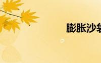 膨胀沙袋是什么