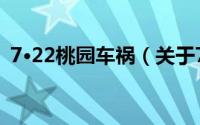 7·22桃园车祸（关于7·22桃园车祸的简介）