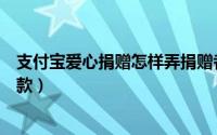 支付宝爱心捐赠怎样弄捐赠者名字（支付宝爱心捐赠怎么捐款）