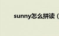 sunny怎么拼读（sunny怎么拼读）