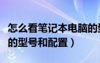 怎么看笔记本电脑的型号（怎么看笔记本电脑的型号和配置）