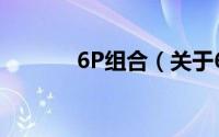 6P组合（关于6P组合的简介）