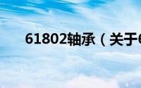 61802轴承（关于61802轴承的简介）