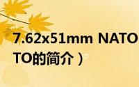 7.62x51mm NATO（关于7.62x51mm NATO的简介）
