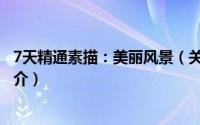 7天精通素描：美丽风景（关于7天精通素描：美丽风景的简介）