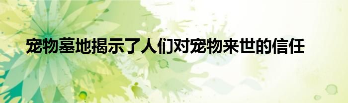 宠物墓地揭示了人们对宠物来世的信任