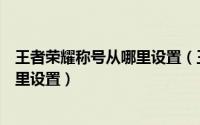 王者荣耀称号从哪里设置（王者荣耀荣耀王者专属称号在哪里设置）