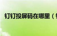 钉钉投屏码在哪里（钉钉投屏码怎么获得）