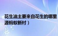 花生油主要来自花生的哪里（花生是国产植物油的第二大来源蚂蚁新村）
