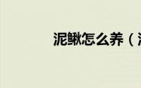 泥鳅怎么养（泥鳅养殖技术）