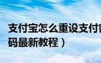 支付宝怎么重设支付密码（支付宝重设支付密码最新教程）