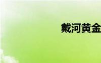 戴河黄金海岸简介