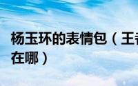 杨玉环的表情包（王者荣耀杨玉环享受的表情在哪）