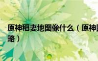 原神稻妻地图像什么（原神四个稻妻区域特产的画片收集攻略）