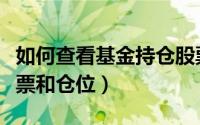 如何查看基金持仓股票（如何查询基金持有股票和仓位）